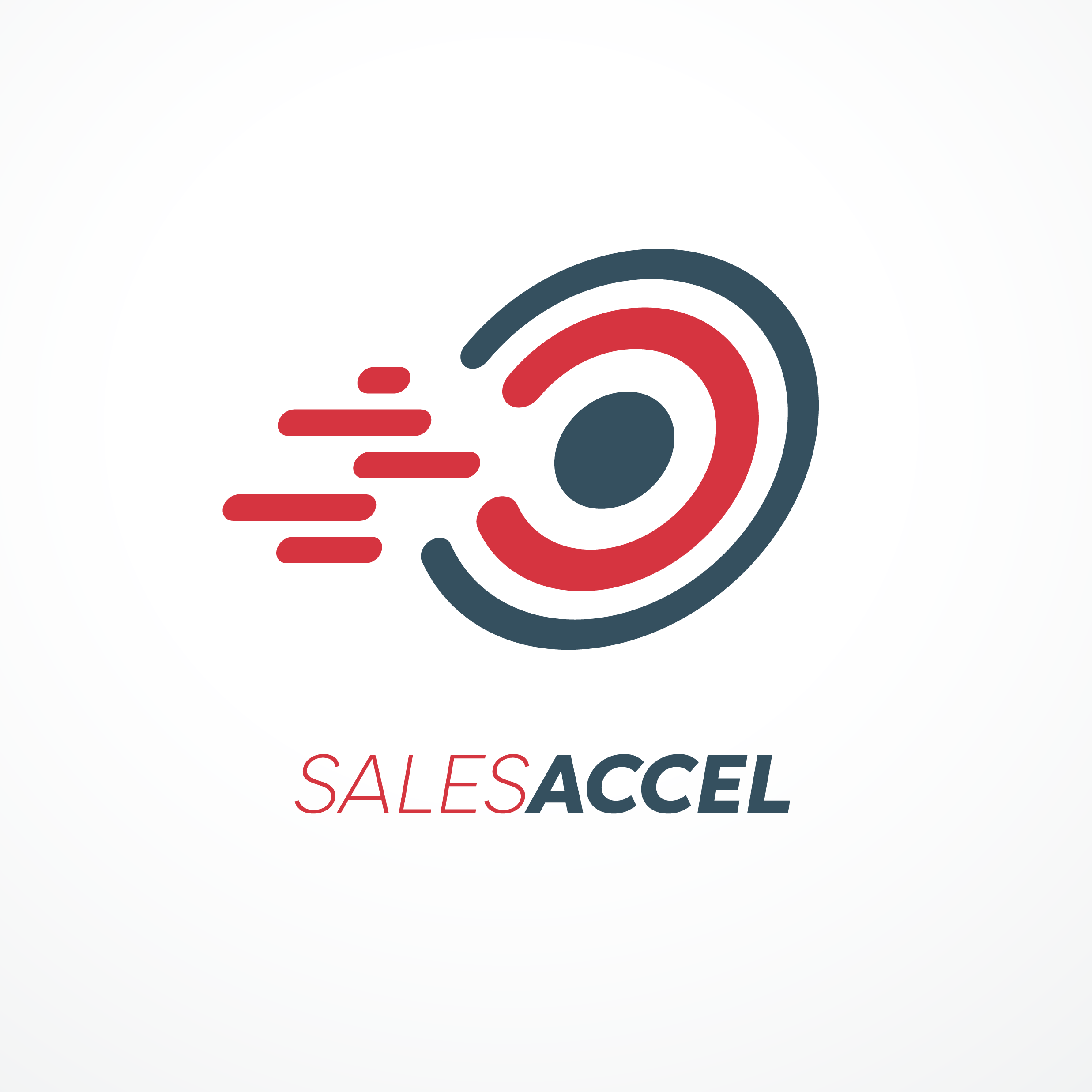 SalesAccel Branding